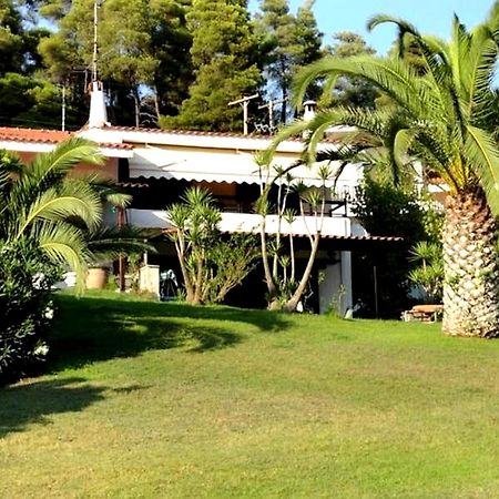 Beachfront Villa 100M From Sea For Up To 10 Guests Siviri Buitenkant foto