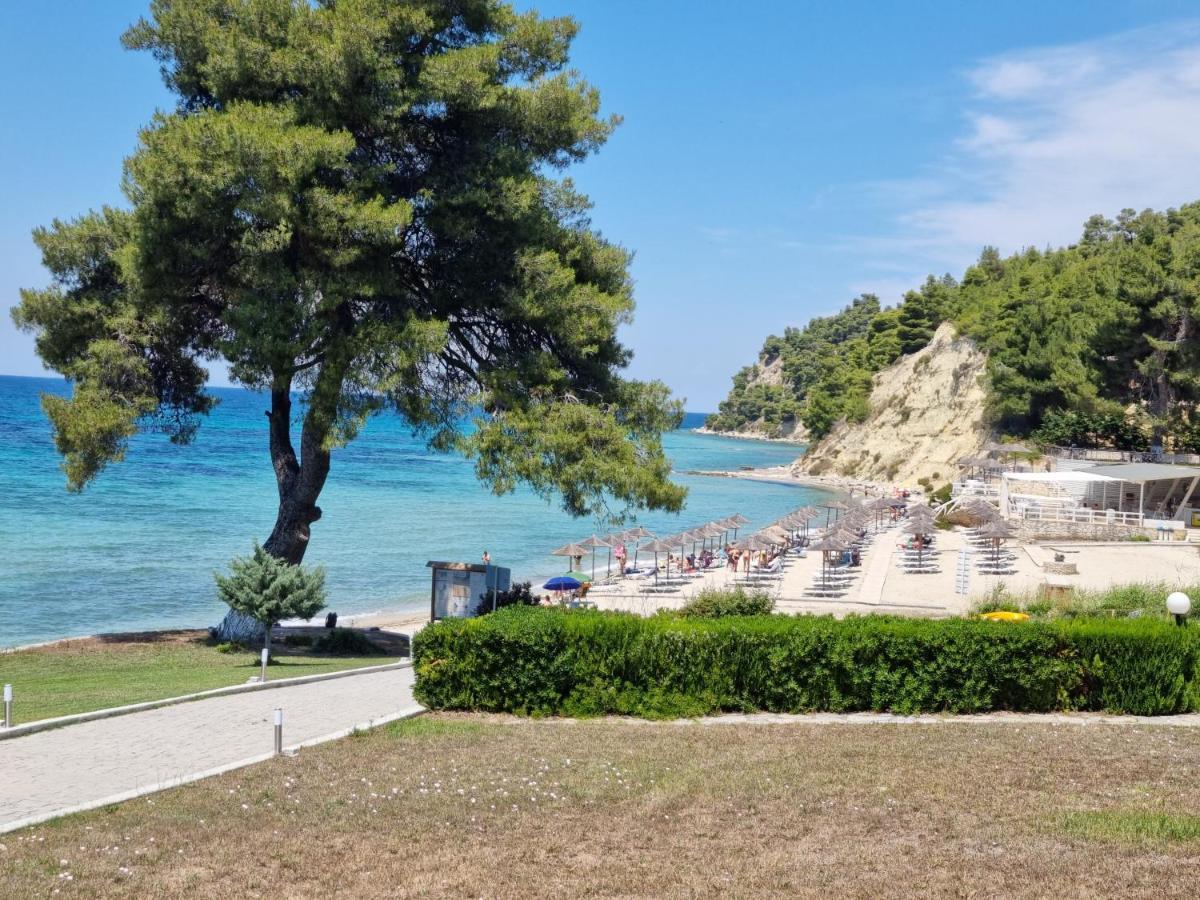 Beachfront Villa 100M From Sea For Up To 10 Guests Siviri Buitenkant foto