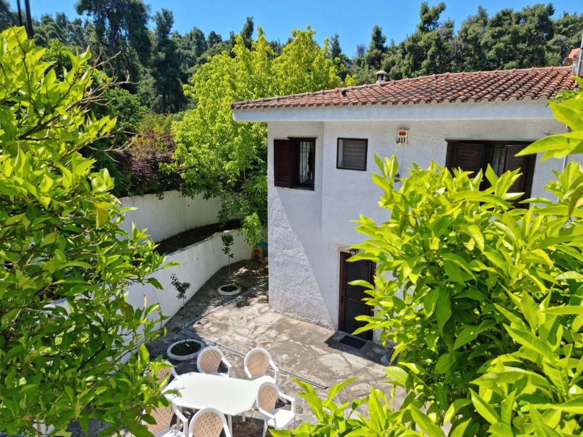 Beachfront Villa 100M From Sea For Up To 10 Guests Siviri Buitenkant foto