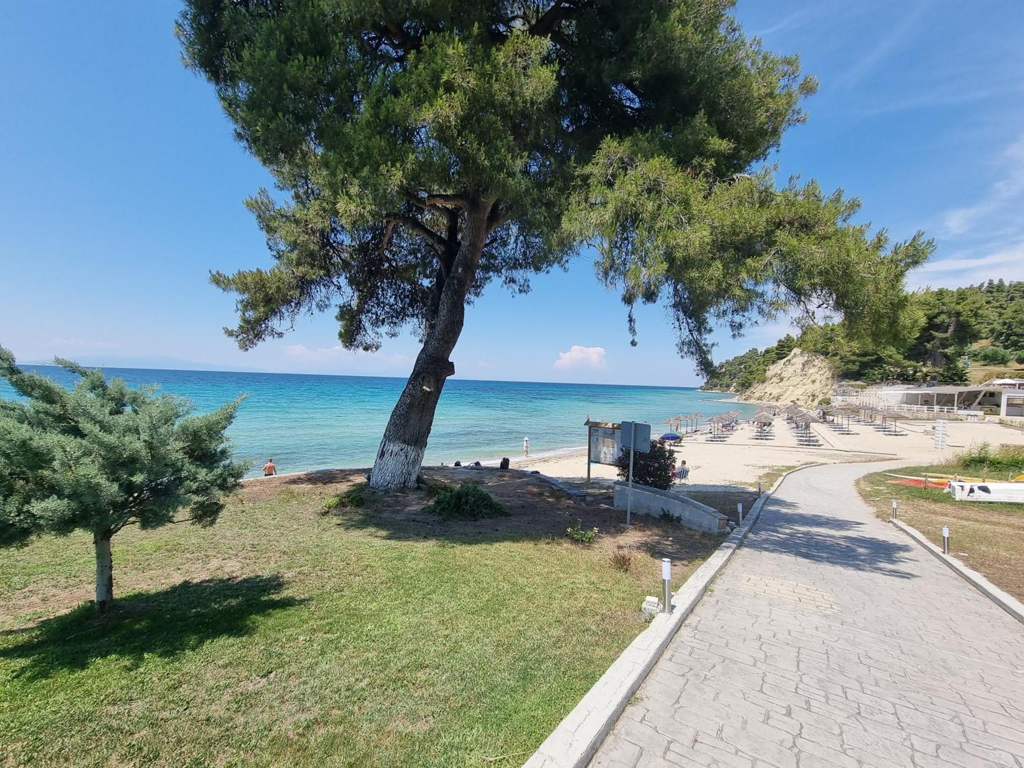 Beachfront Villa 100M From Sea For Up To 10 Guests Siviri Buitenkant foto